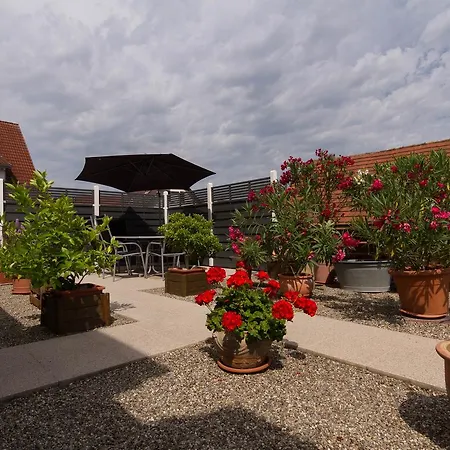 Tuniberg Restaurant Freiburg im Breisgau