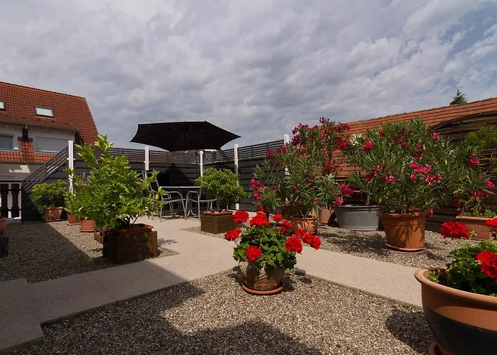 Tuniberg Restaurant Fryburg Bryzgowijski